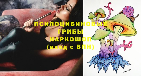 сатива Абдулино